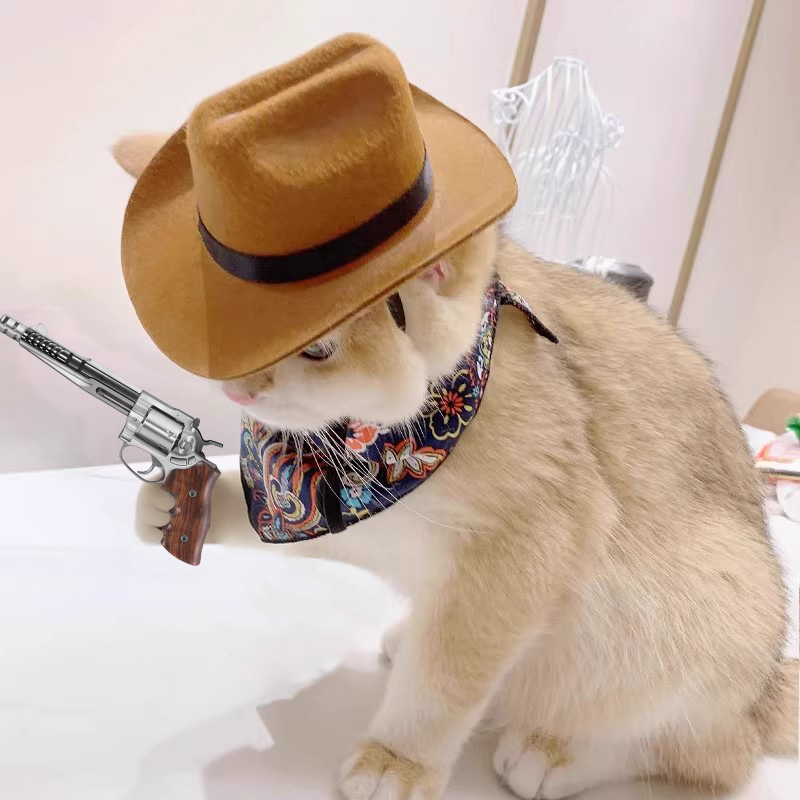 Cowboy Hat Straw - ﻿ Katze Cowboy Hut Haustier Kopf